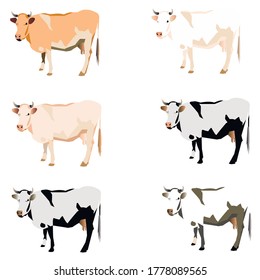ilustración vectorial de vacas de diferentes colores