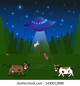 Vector illustration of cows graze in a field, in night landscape funny extraterrestrial flew to our planet. Banner Card Poster cartoon flat drawing. UFO or Flying saucer in space. Aliens launched.