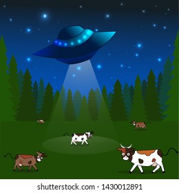 Vector illustration of cows graze in a field, in night landscape funny extraterrestrial flew to our planet. Banner Card Poster cartoon flat drawing. UFO or Flying saucer in space. Aliens launched.
