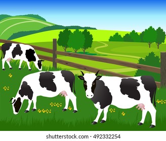 Vector Illustration. Cows are grazing in the corral. 