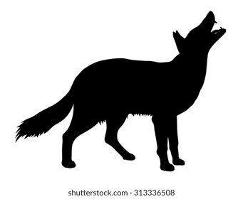 Vector illustration of coyote silhouette