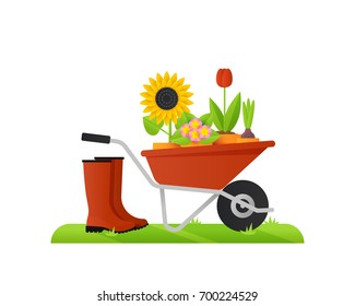 Vector illustration of a cozy scene with wheelbarrow full of flowers and rubber boots.