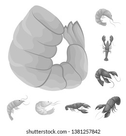 Vector illustration of crab and appetizer logo. Collection of crab and sea stock vector illustration.