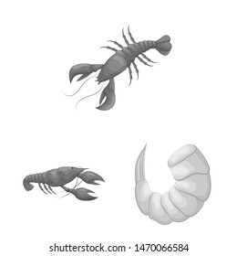 Vector illustration of crab and appetizer symbol. Collection of crab and sea stock symbol for web.
