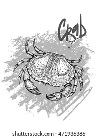 Vector illustration of a crab. Hand drawn sketch. Fresh and delicious seafood