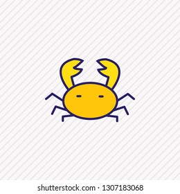 Vector illustration of crab icon colored line. Beautiful tourism element also can be used as cancer icon element.