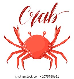 Vector illustration of a crab isolated on white background with inscription. Red clam clipart. Realistic shellfish