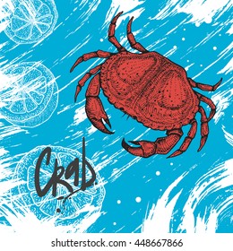 Vector illustration of crab with lemon slice. Hand drawn sketch. Fresh and delicious seafood