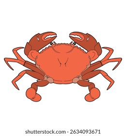 ilustração vetorial de caranguejo em aparências originais
