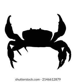 Vector illustration of crab silhouette