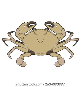 ilustração vetorial de caranguejo em aparências vintage
