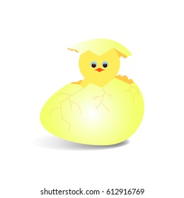 vector illustration of cracked egg with chicken