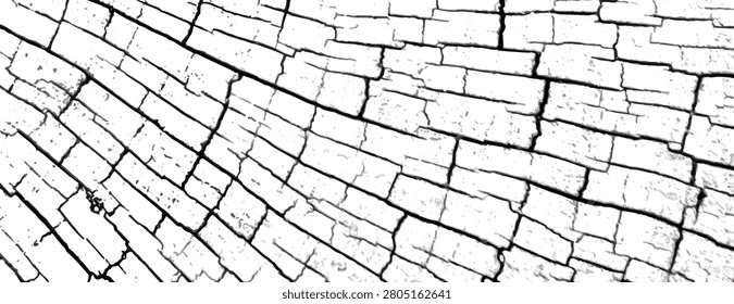 Vector illustration of cracked, textured surface resembling dry earth or wood.
