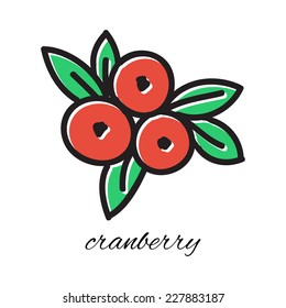 Vector illustration. Cranberry. Hand-drawn object isolated on white background. Easy paste to any background