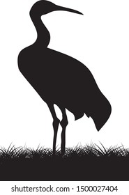 vector illustration of a crane in marshy grass  looking to the right silhouette of a crane bird isolated on white.