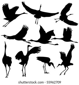 Vector illustration of Crane Silhouettes.
