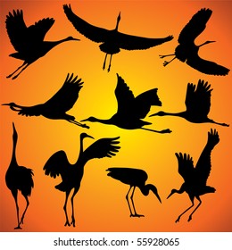 Vector illustration of Crane Silhouettes against orange sky.