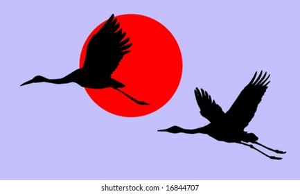 vector illustration of the cranes in sky on background red sun