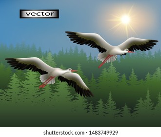 Vector illustration of cranes and storks flying over the forest high in the sky, the sun is shining