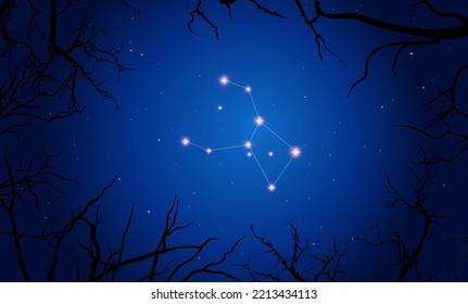 Vector illustration Crater constellation. Bright constellation in open space. Starry sky behind the creepy branches