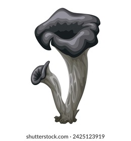 Vector illustration, Craterellus cornucopioides, also known as black chanterelle, black trumpet, isolated on white background,