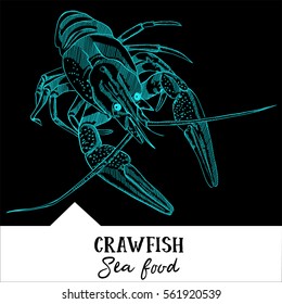 Vector illustration crawfish for a seafood menu