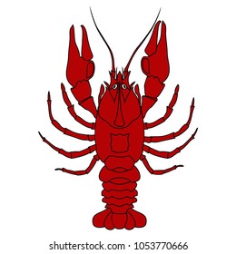 Vector illustration of crayfish on a white background