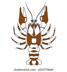 Vector illustration of crayfish on a white background