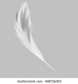 Vector illustration. Created using gradient mesh - realistic feather