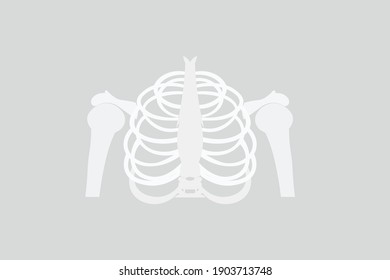 Vector Illustration Creepy Skull