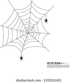 Vector illustration of creepy spider web and a spider. Decoration cobweb for Halloween