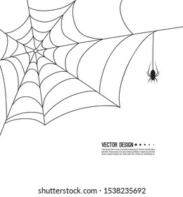 Vector illustration of creepy spider web and a spider. Decoration cobweb for Halloween