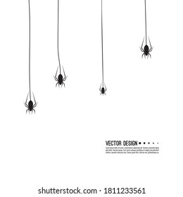 Vector illustration of creepy spider web and a spider. Decoration cobweb for Halloween