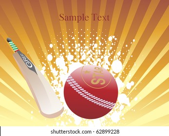 vector  illustration of cricket background