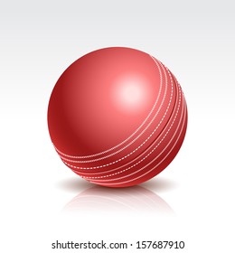 Vector Illustration of a Cricket Ball