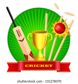 vector illustration of cricket kit with trophy