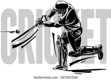 the vector illustration of the cricket player with the cricket bat in his hands 