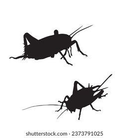 Vector Illustration of Cricket Silhouette