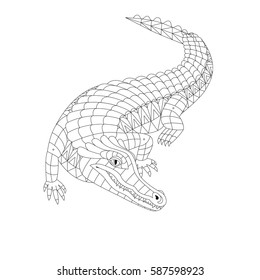 Vector illustration of the crocodile, isolated. Black and white artwork in ethnic and zentangle style. Coloring page, tattoo, card, poster, t-shirt, print design