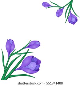 Vector illustration with crocus or saffron and hearts on a white background.bouquet of purple flowers.Can be used as greeting cards, wedding invitations, birthday,spring or summer holiday,celebration.