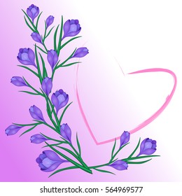 Vector illustration with crocus or saffron and hearts on a white background.bouquet of purple flowers.Can be used as greeting cards, wedding invitations,Valentine's Day,  spring or summer holiday.