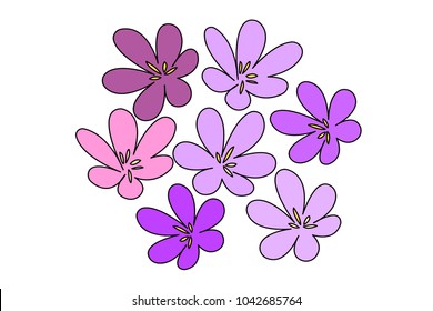 Vector illustration with crocuses.Background.