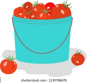 Vector illustration of the crop. Tomato bucket icon flat insulated
