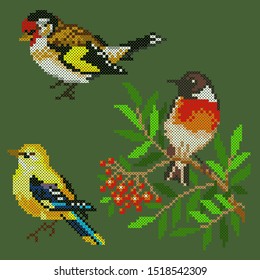 vector illustration cross stitch birds