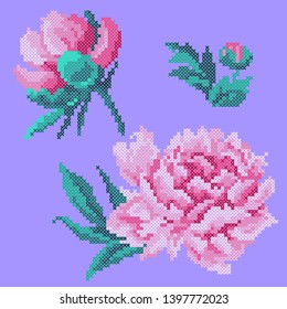 vector illustration cross stitch peony