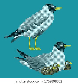 vector illustration cross stitch seagull