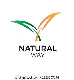 Vector illustration of crossed leaves. Natural product or service logo. Eco emblem. Isolated on white.