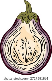 Ilustración vectorial de una sección transversal de una berenjena en estilo doodle.