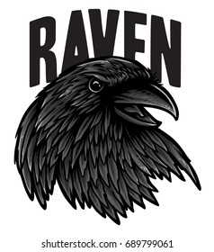 Vector Illustration Of Crow Head