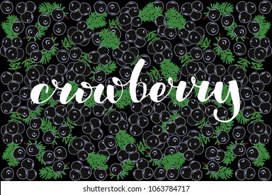 vector illustration of crowberry and leaf design with lettering crowberry background black and berry and text north vitamins 100% organic EPS10